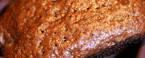 Cake Choco-Framboise Sans Gluten