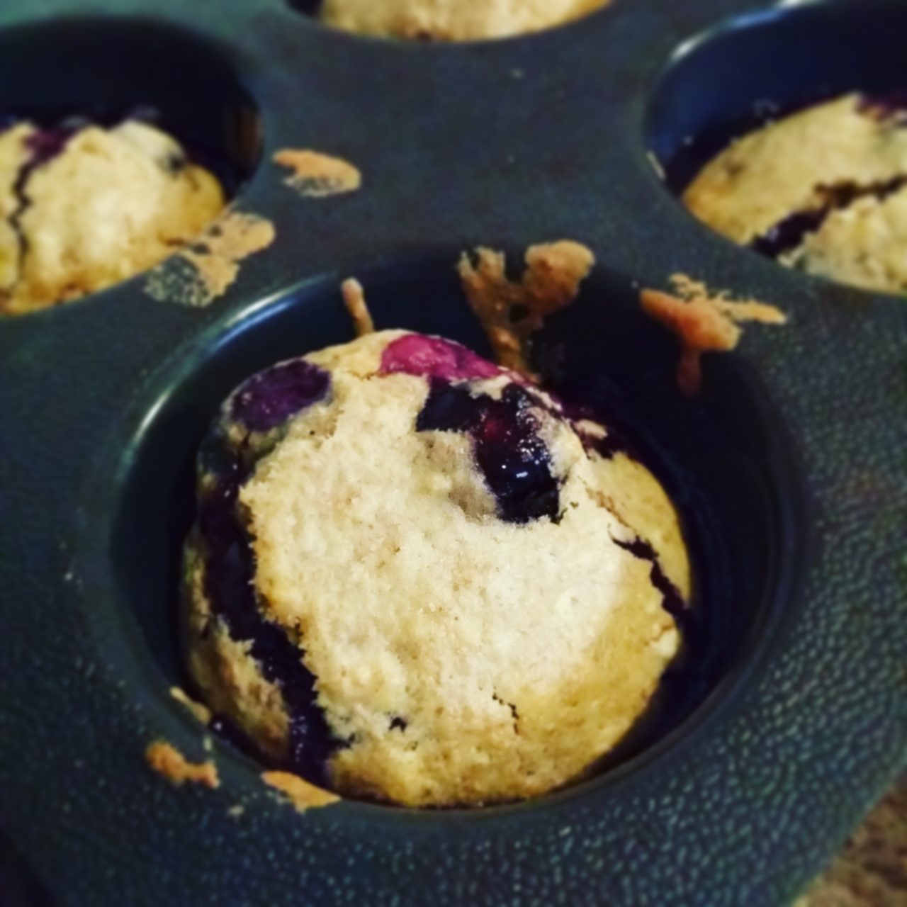 Muffins myrtilles vegan